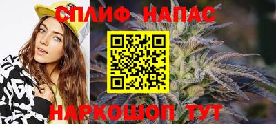 PSILOCYBIN Будённовск