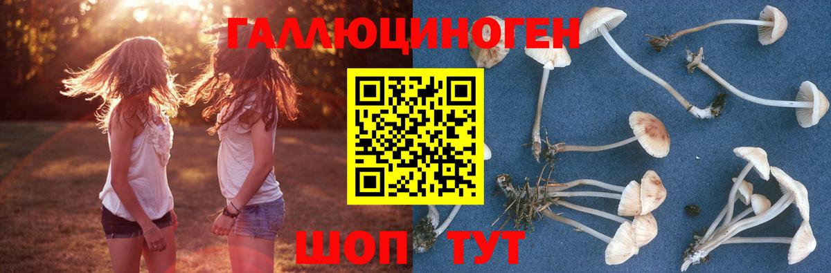 Стерлитамак  Галлюциногенные грибы Psilocybine cubensis  Вход с VPN 
